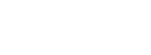 Linx Wales Logo White
