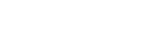 Next Gen Access Logo White